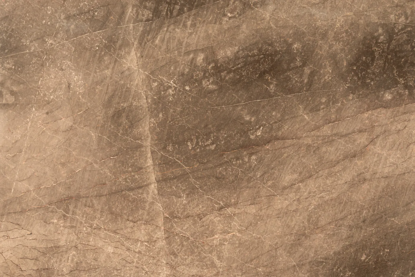 Gris Maya