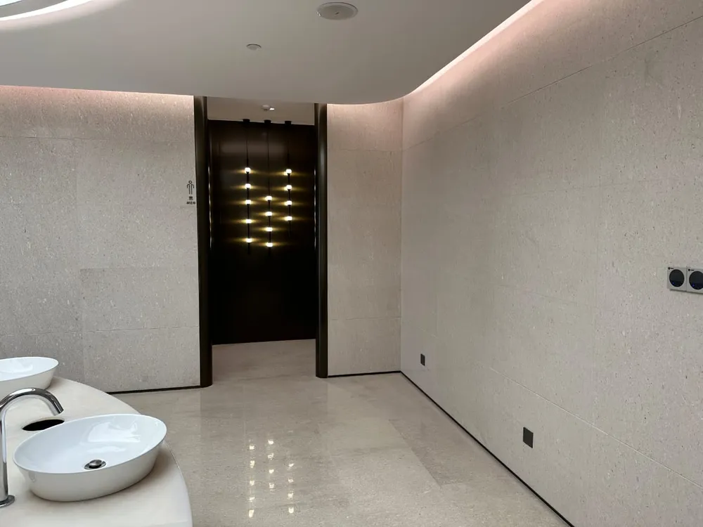Interior — Platino Ice