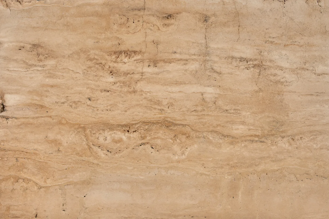 Walnut Crosscut